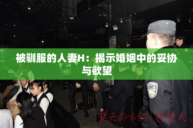 被驯服的人妻H：揭示婚姻中的妥协与欲望