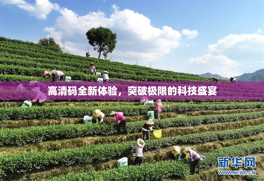高清码全新体验，突破极限的科技盛宴