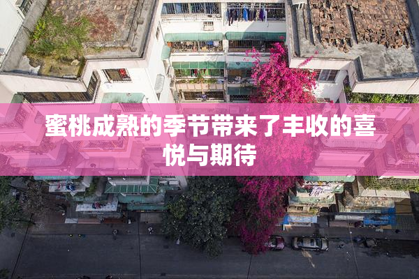 蜜桃成熟的季节带来了丰收的喜悦与期待