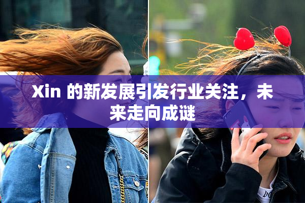 Xin 的新发展引发行业关注，未来走向成谜