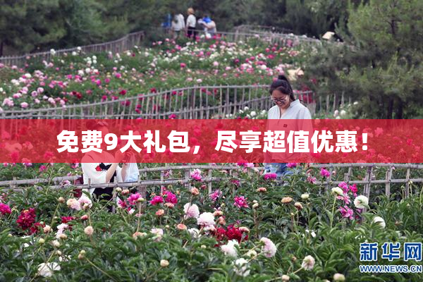免费9大礼包，尽享超值优惠！