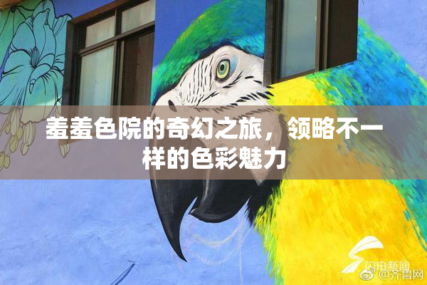 羞羞色院的奇幻之旅，领略不一样的色彩魅力