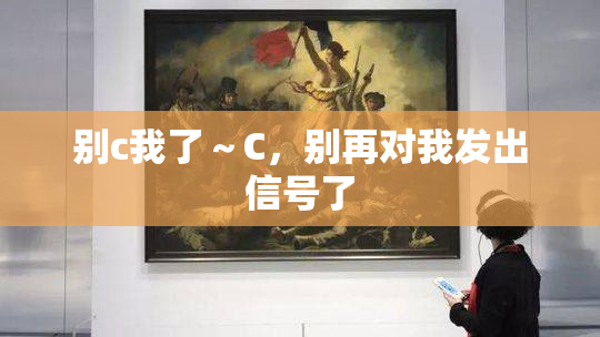 别c我了～C，别再对我发出信号了