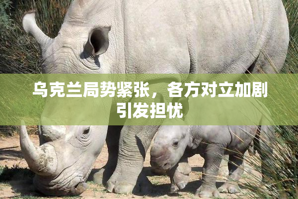 乌克兰局势紧张，各方对立加剧引发担忧