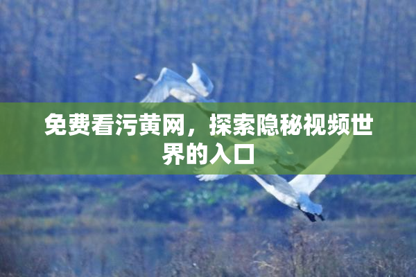 免费看污黄网，探索隐秘视频世界的入口