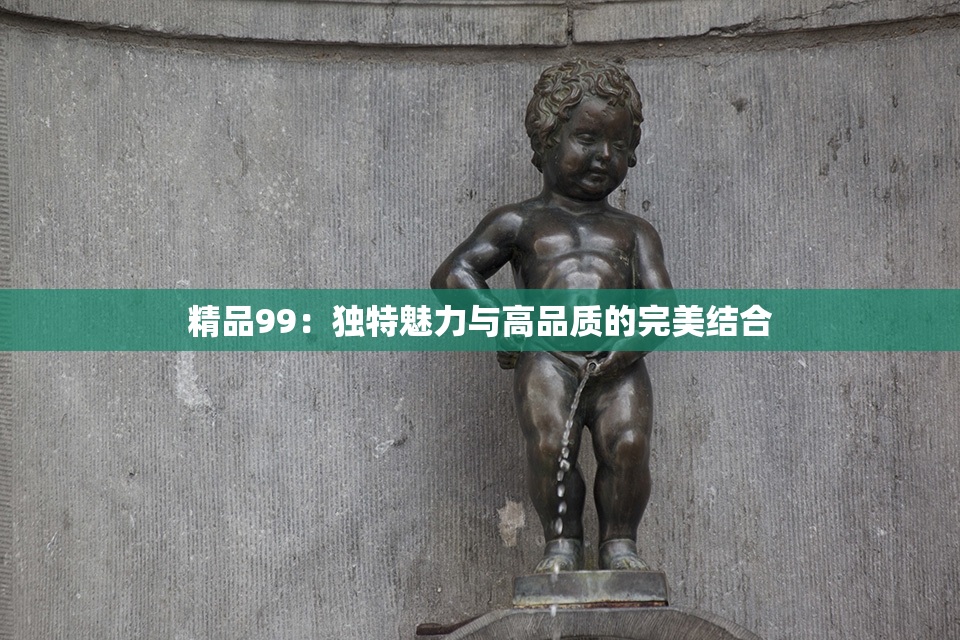 精品99：独特魅力与高品质的完美结合