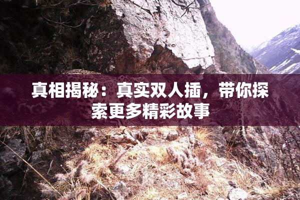 真相揭秘：真实双人插，带你探索更多精彩故事
