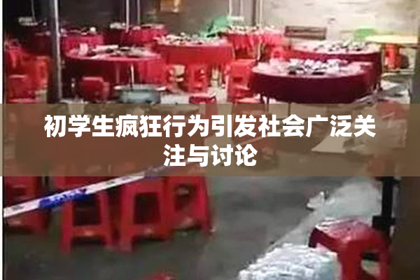 初学生疯狂行为引发社会广泛关注与讨论