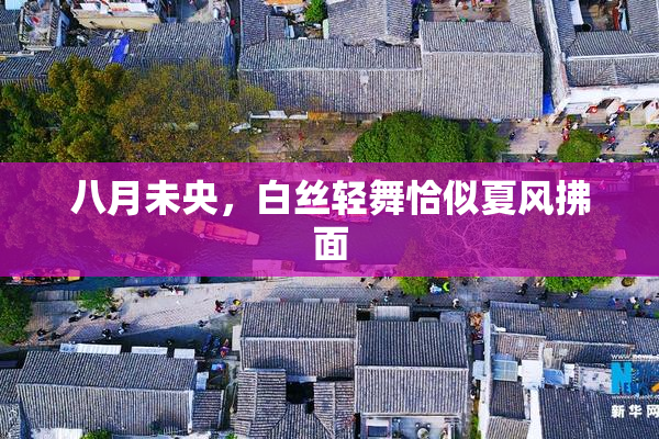 八月未央，白丝轻舞恰似夏风拂面