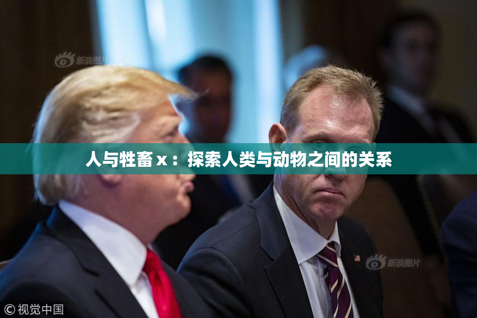人与牲畜ⅹ：探索人类与动物之间的关系