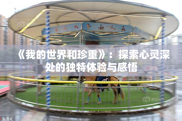 《我的世界和珍重》：探索心灵深处的独特体验与感悟