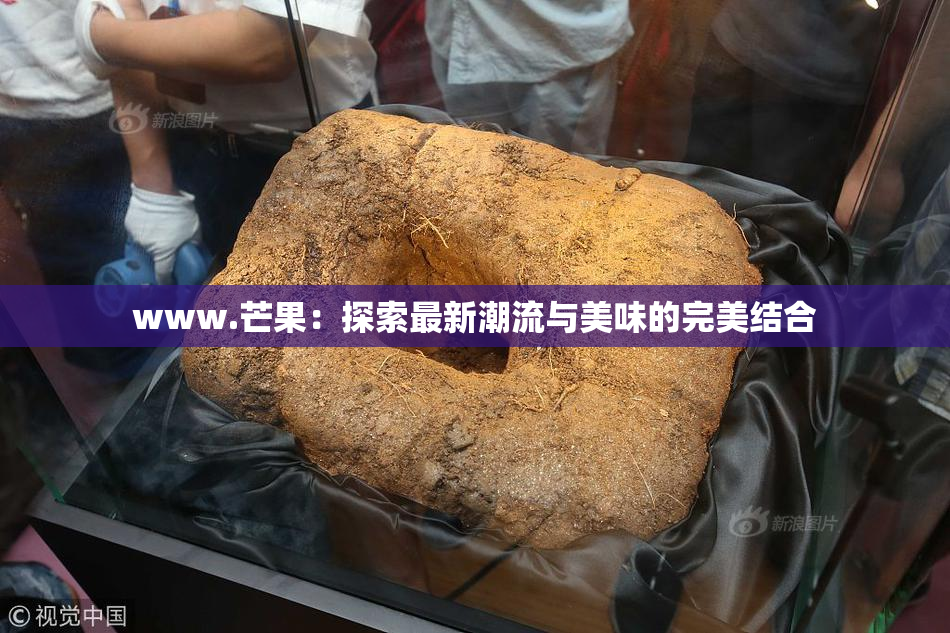 www.芒果：探索最新潮流与美味的完美结合