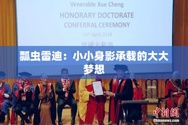 瓢虫雷迪：小小身影承载的大大梦想