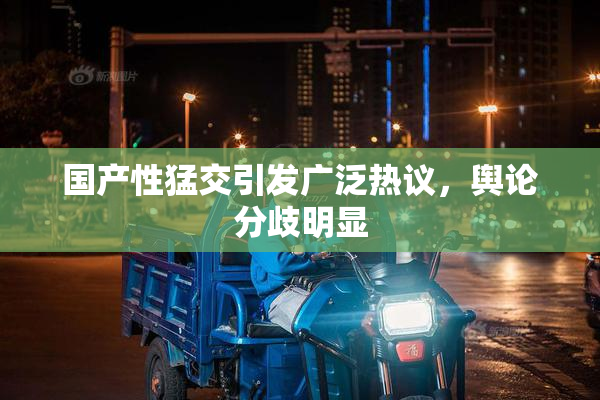 国产性猛交引发广泛热议，舆论分歧明显