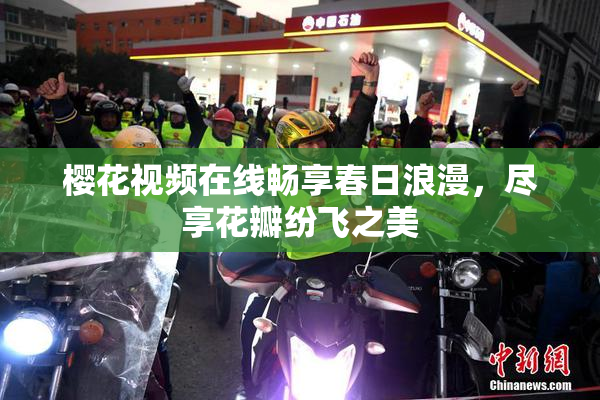 樱花视频在线畅享春日浪漫，尽享花瓣纷飞之美