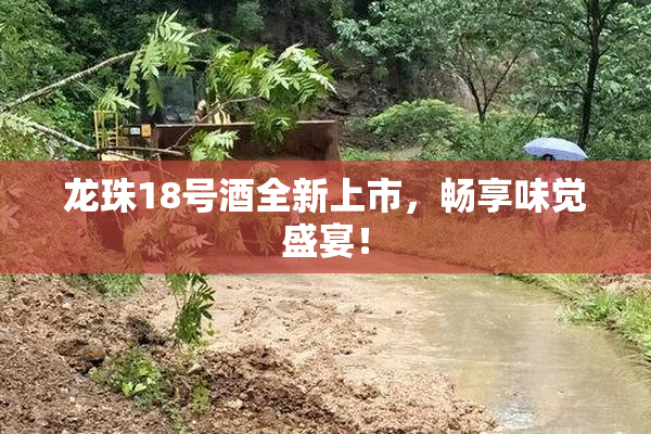 龙珠18号酒全新上市，畅享味觉盛宴！