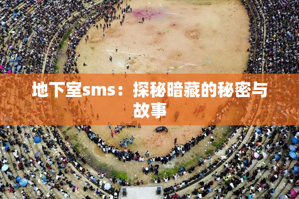 地下室sms：探秘暗藏的秘密与故事