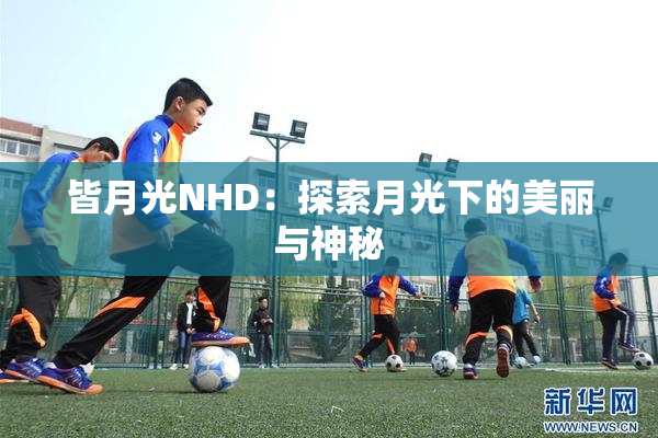 皆月光NHD：探索月光下的美丽与神秘