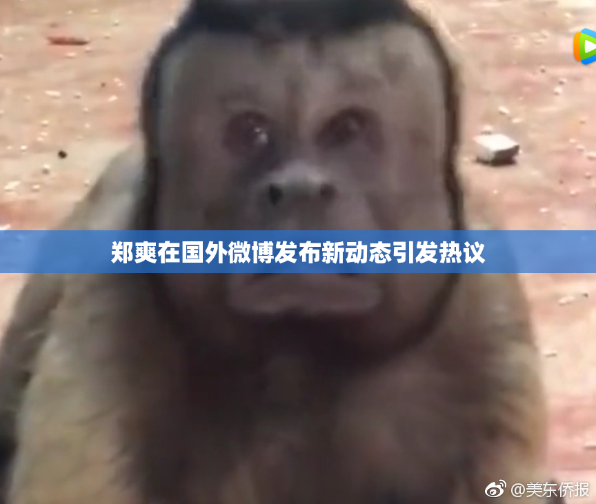 郑爽在国外微博发布新动态引发热议