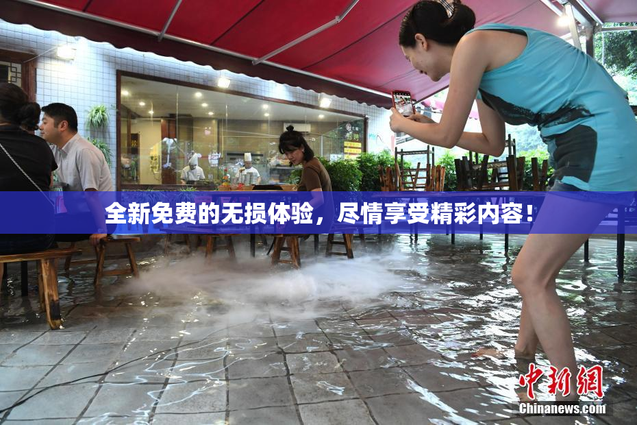 全新免费的无损体验，尽情享受精彩内容！
