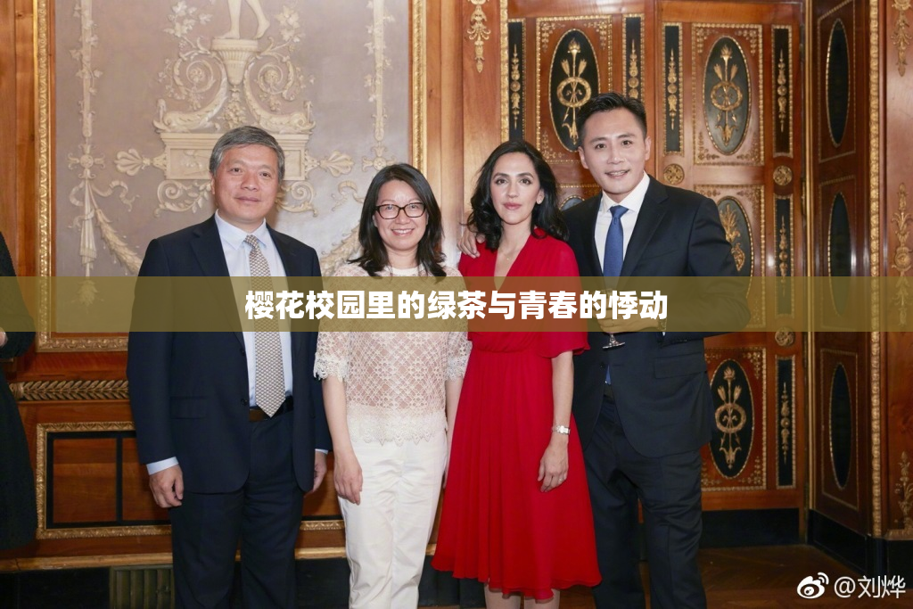 樱花校园里的绿茶与青春的悸动