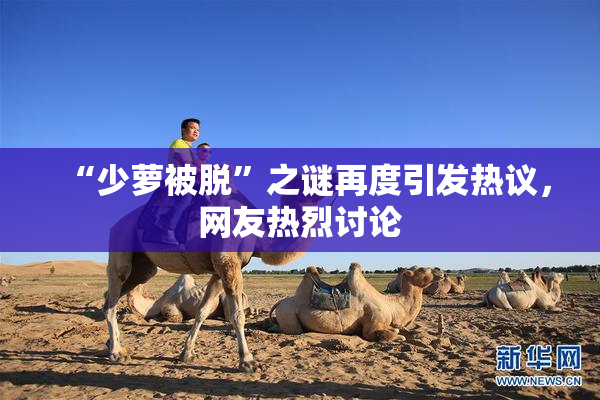 “少萝被脱”之谜再度引发热议，网友热烈讨论