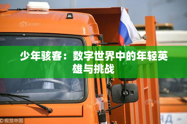 少年骇客：数字世界中的年轻英雄与挑战