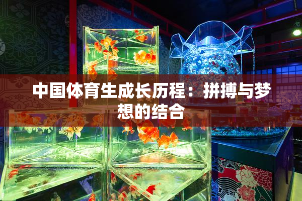 中国体育生成长历程：拼搏与梦想的结合