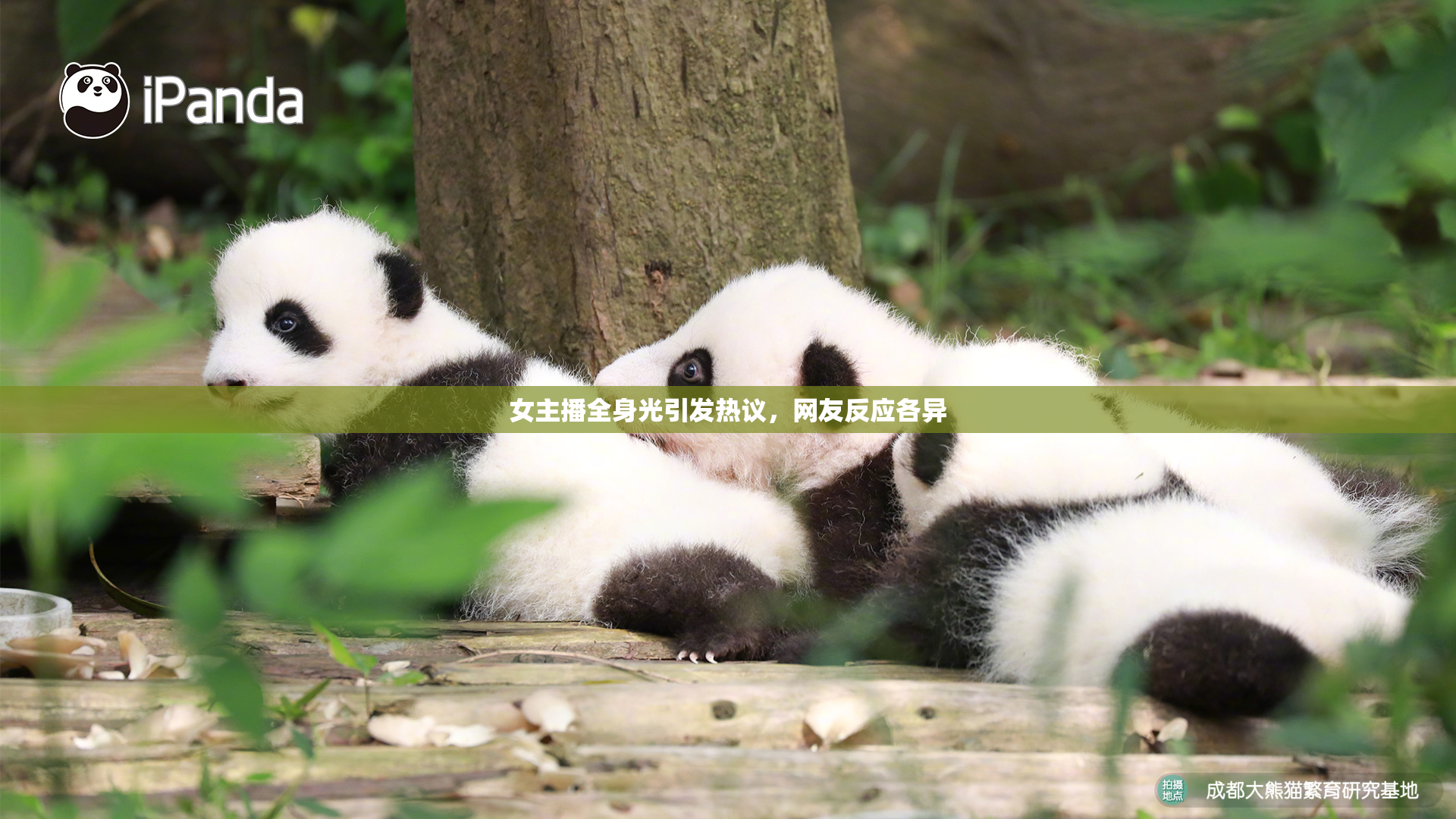 女主播全身光引发热议，网友反应各异