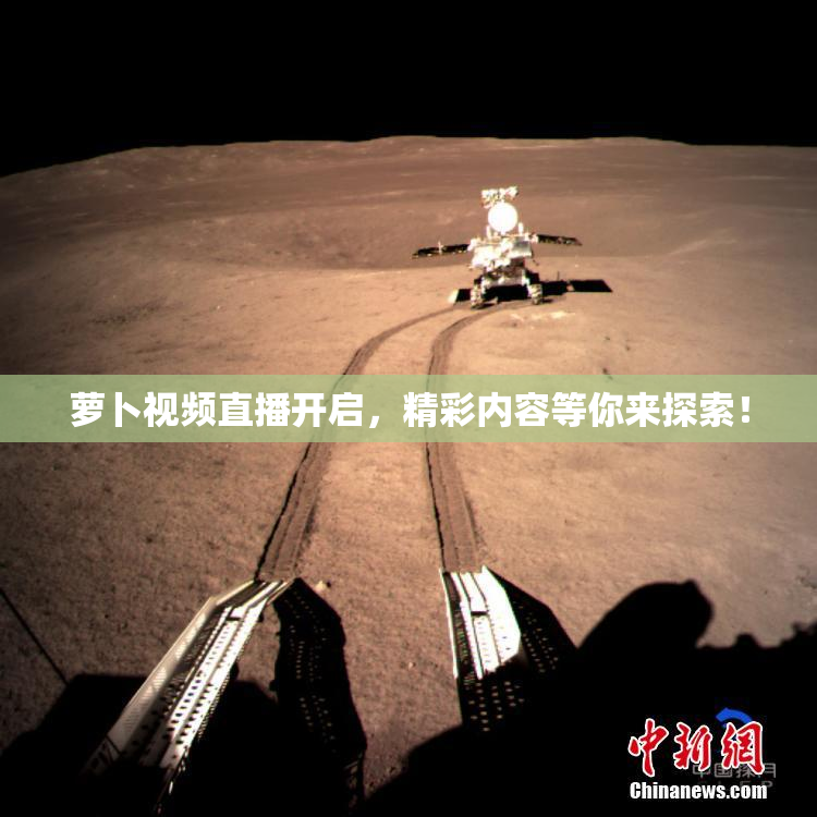 萝卜视频直播开启，精彩内容等你来探索！