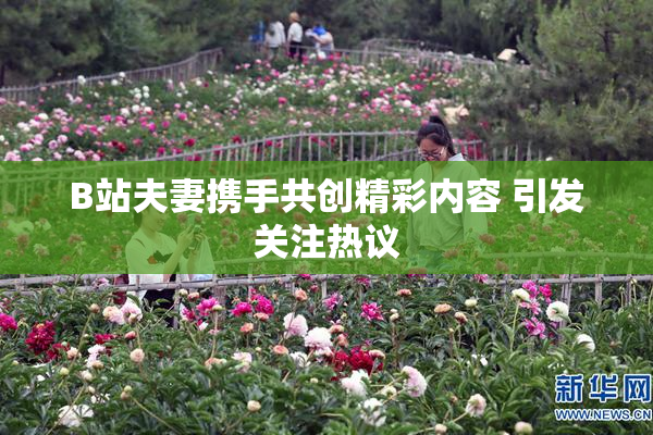 B站夫妻携手共创精彩内容 引发关注热议
