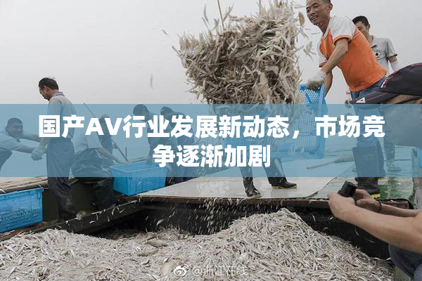 国产AV行业发展新动态，市场竞争逐渐加剧