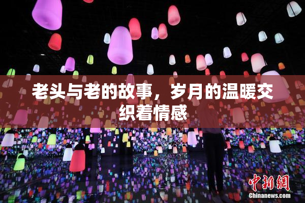 老头与老的故事，岁月的温暖交织着情感