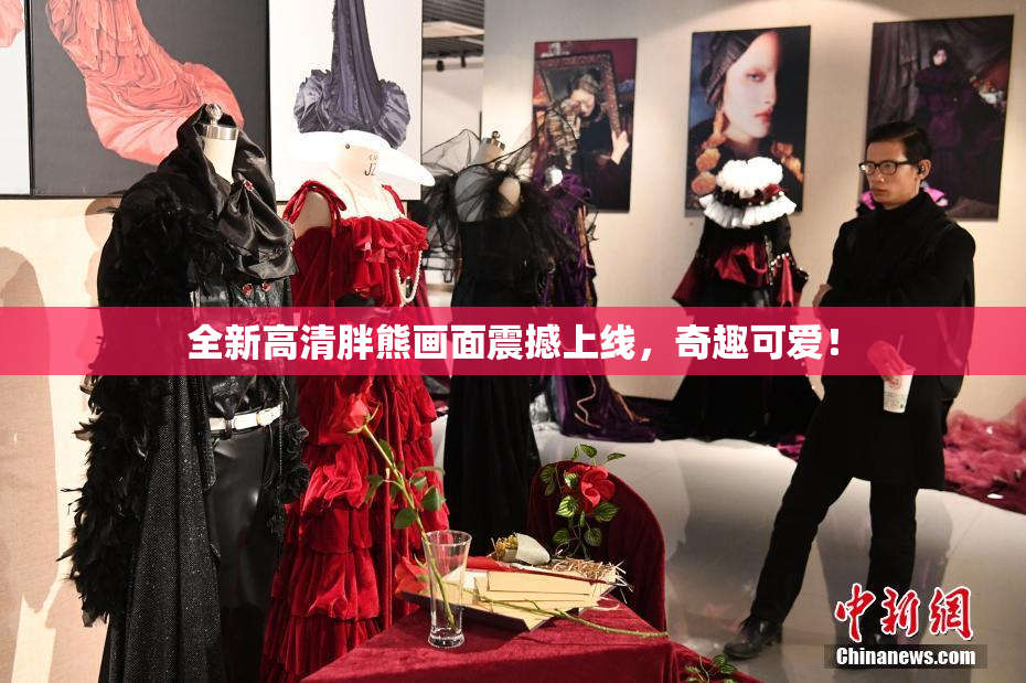 全新高清胖熊画面震撼上线，奇趣可爱！