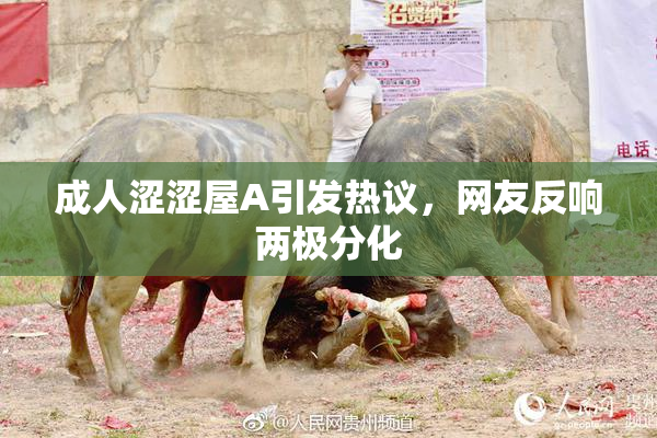 成人涩涩屋A引发热议，网友反响两极分化