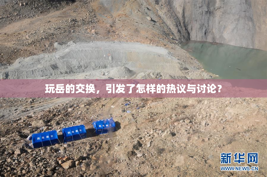 玩岳的交换，引发了怎样的热议与讨论？
