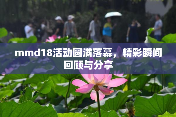 mmd18活动圆满落幕，精彩瞬间回顾与分享