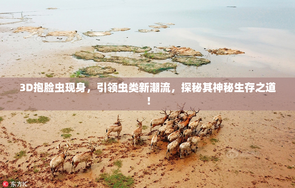3D抱脸虫现身，引领虫类新潮流，探秘其神秘生存之道！