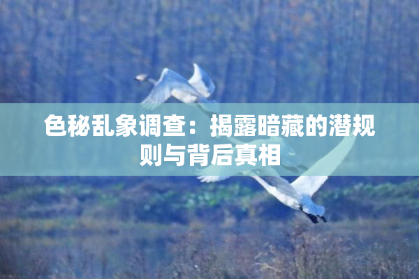 色秘乱象调查：揭露暗藏的潜规则与背后真相