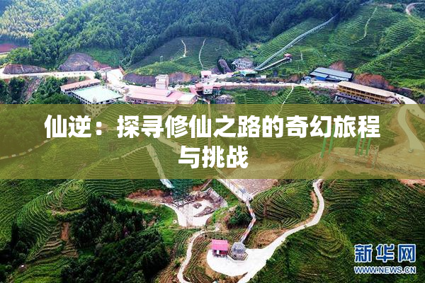 仙逆：探寻修仙之路的奇幻旅程与挑战