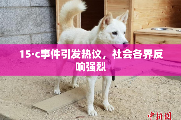 15·c事件引发热议，社会各界反响强烈