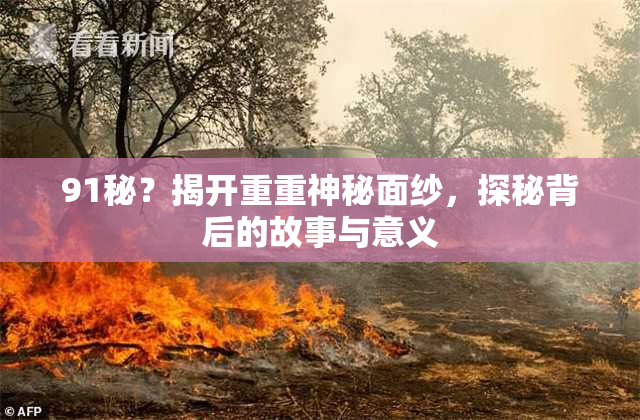 91秘？揭开重重神秘面纱，探秘背后的故事与意义