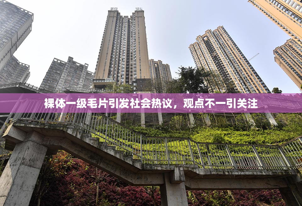 裸体一级毛片引发社会热议，观点不一引关注