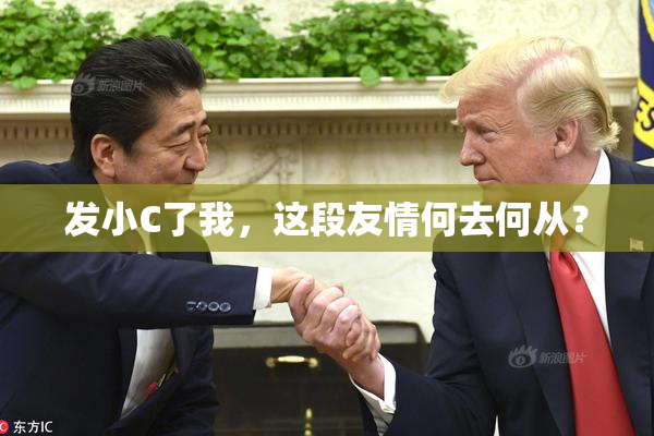 发小C了我，这段友情何去何从？