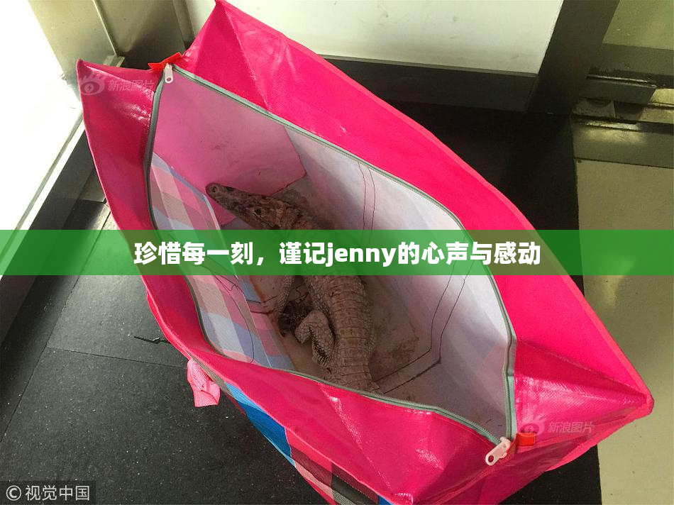 珍惜每一刻，谨记jenny的心声与感动