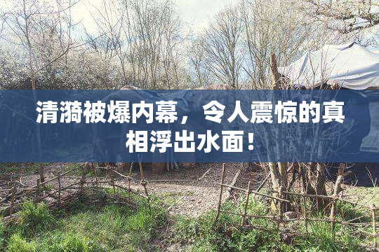 清漪被爆内幕，令人震惊的真相浮出水面！