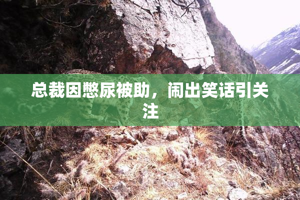 总裁因憋尿被助，闹出笑话引关注