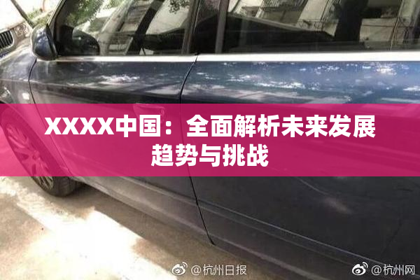 XXXX中国：全面解析未来发展趋势与挑战
