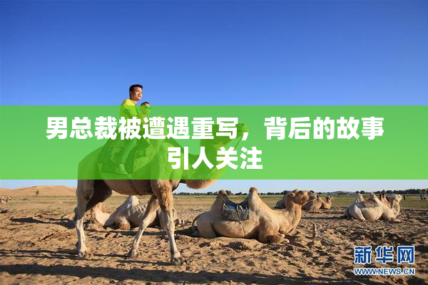 男总裁被遭遇重写，背后的故事引人关注