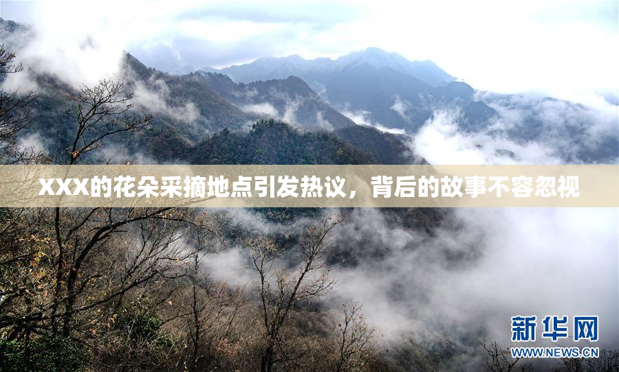 XXX的花朵采摘地点引发热议，背后的故事不容忽视